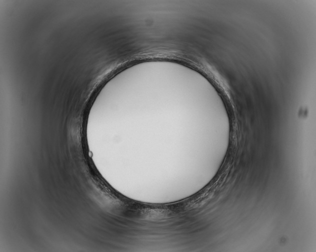 X0000099520107200806121511