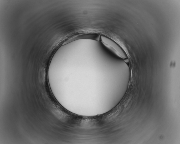 X0000099520109200806121511