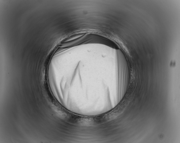 X0000099520110200806121511