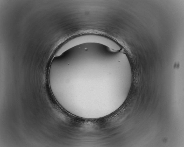 X0000099520111200806121511