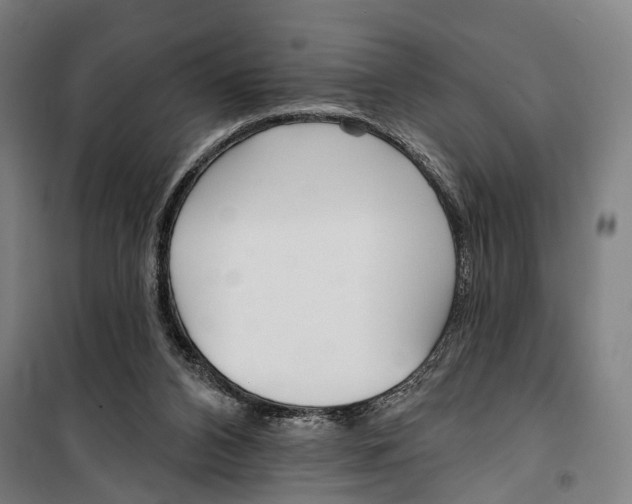 X0000099520112200806121511