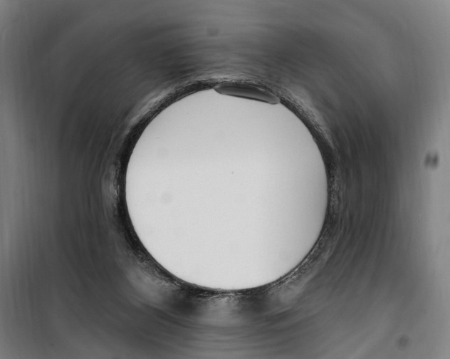 X0000099520116200806121510