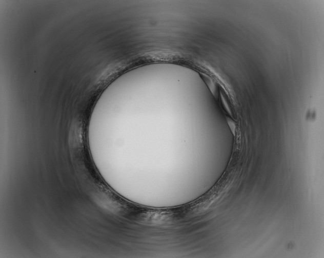 X0000099520117200806121510