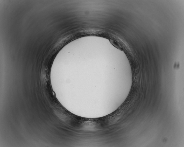 X0000099520119200806121510