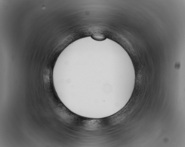 X0000099520122200806121510