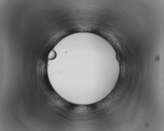 X0000099520123200806121510