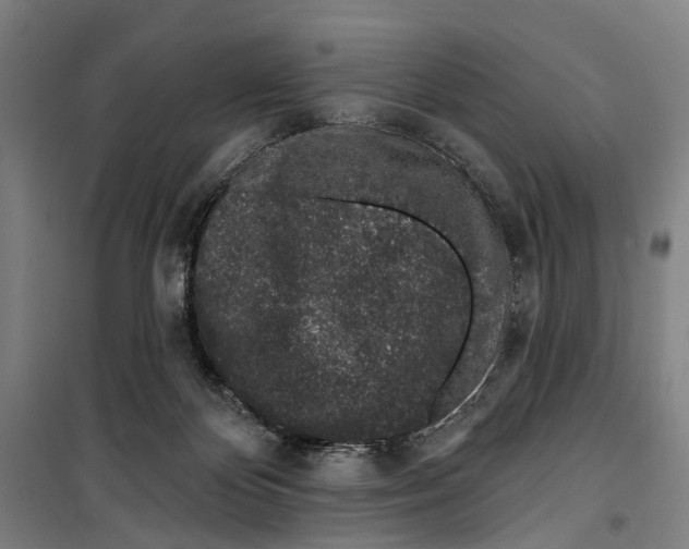 X0000099520124200806121510