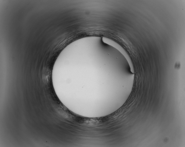 X0000099520125200806121510