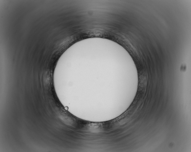 X0000099520126200806121510