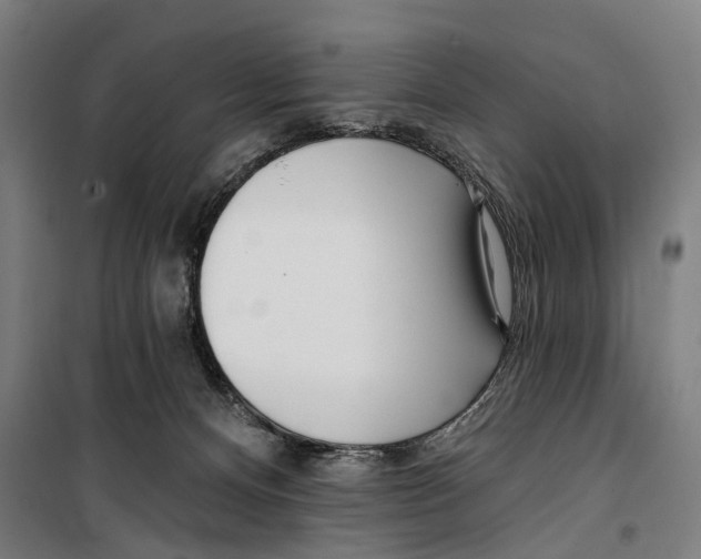 X0000099520128200806121510