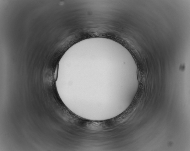 X0000099520129200806121510