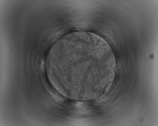 X0000099520130200806121510