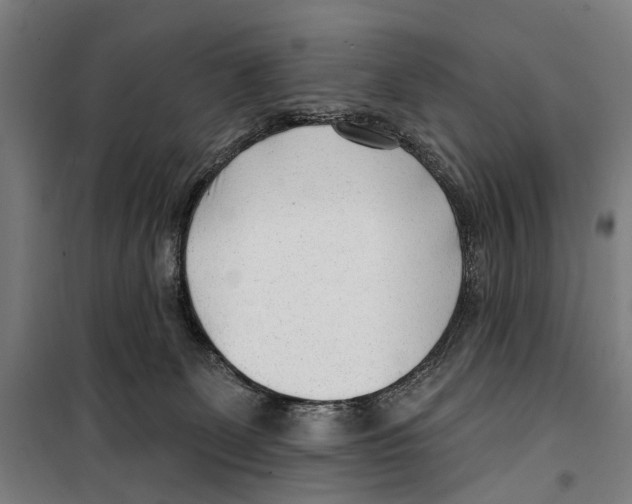 X0000099520131200806121510