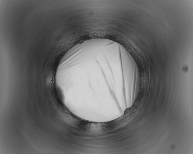 X0000099520134200806121510