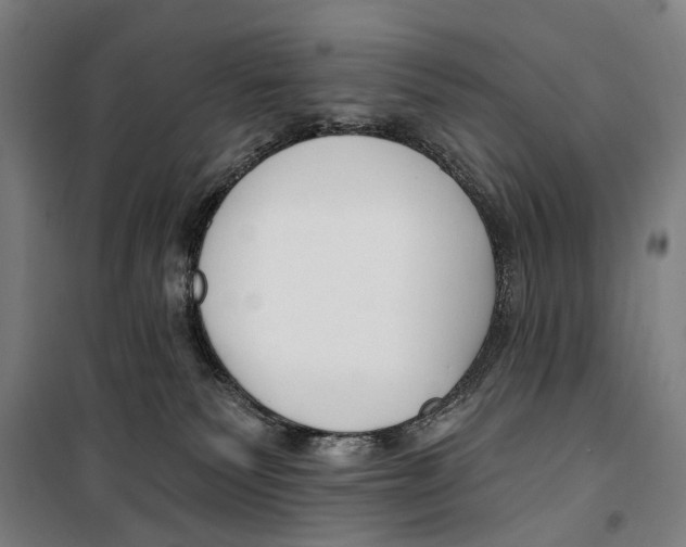 X0000099520135200806121510