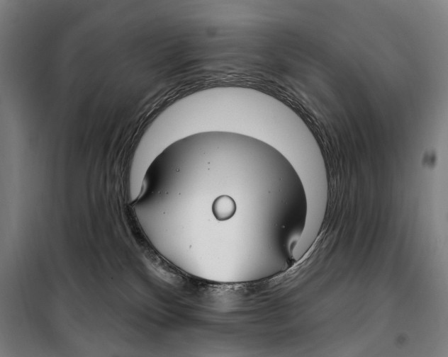 X0000099520136200806121510