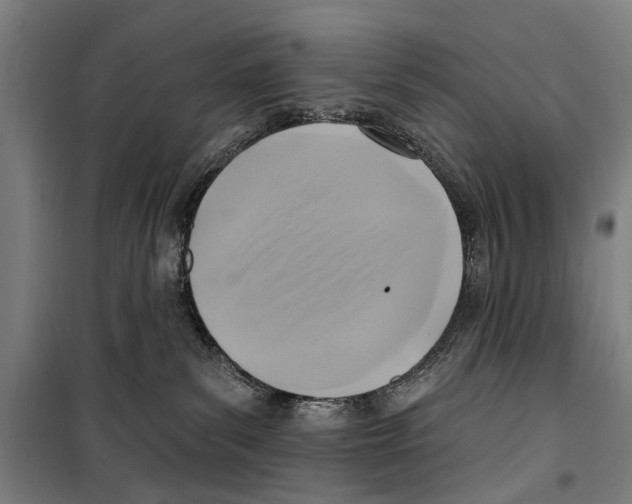 X0000099520139200806121510