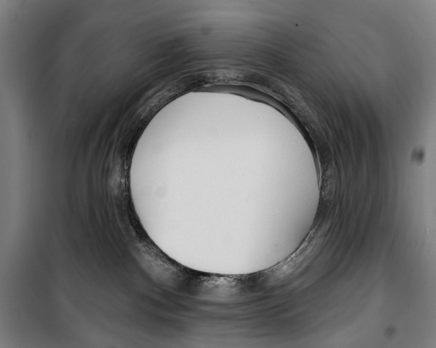 X0000099520140200806121510