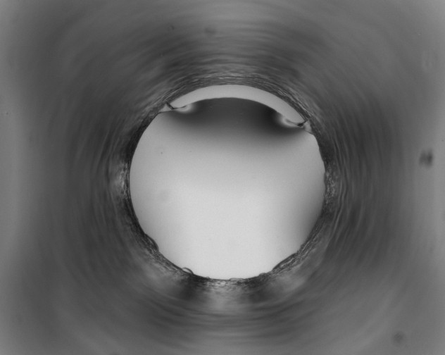 X0000099520141200806121510