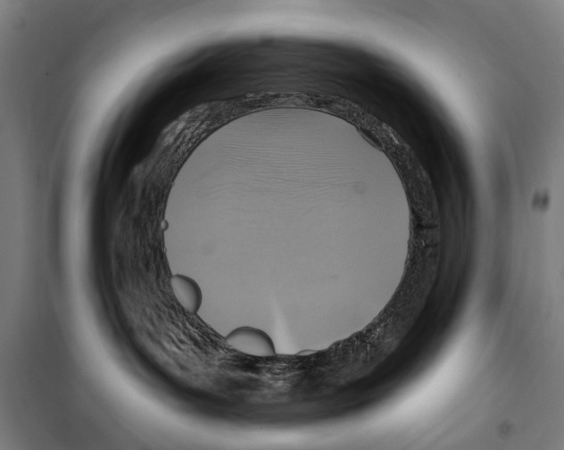 X0000099520143200806121510