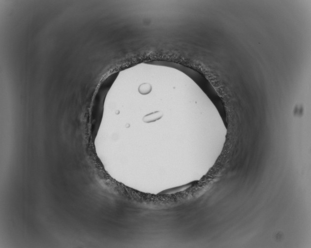 X0000099520144200806121510