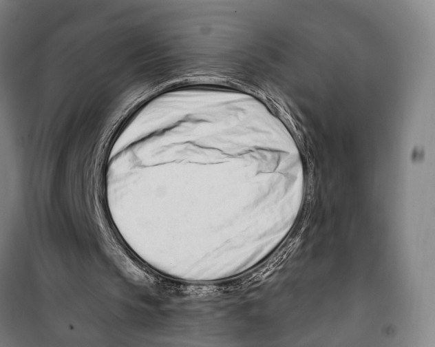 X0000099520145200806121509