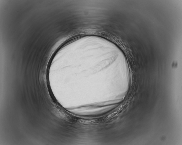 X0000099520147200806121509