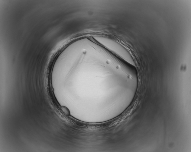 X0000099520149200806121509