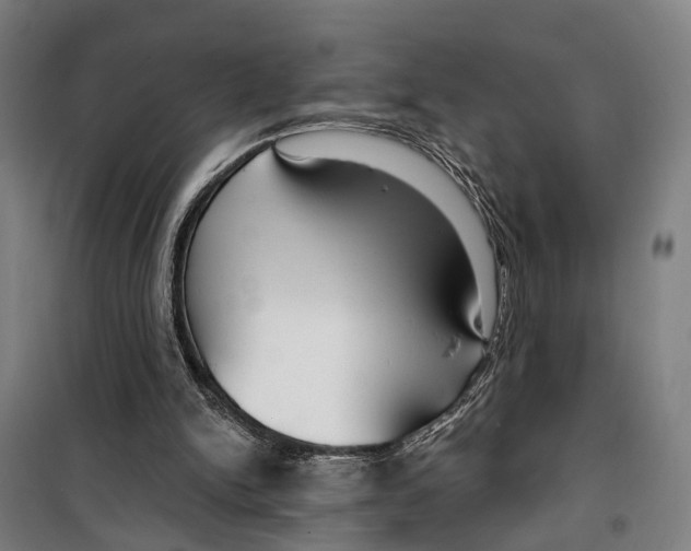 X0000099520150200806121509