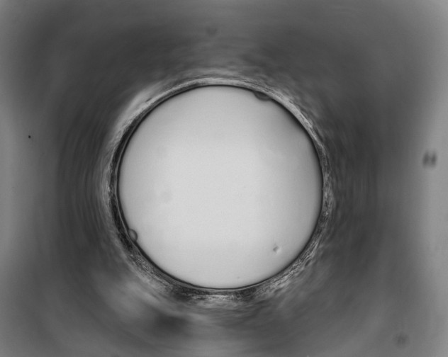 X0000099520151200806121510