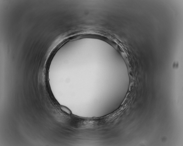 X0000099520152200806121510