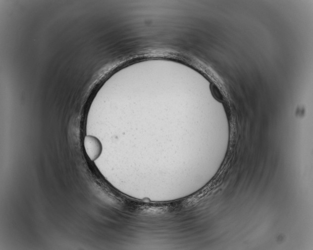 X0000099520155200806121510