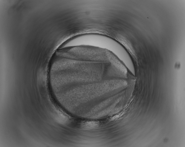 X0000099520156200806121510