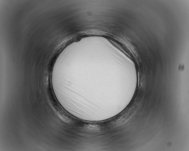 X0000099520157200806121510