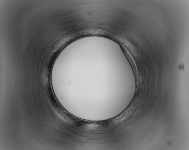 X0000099520158200806121510