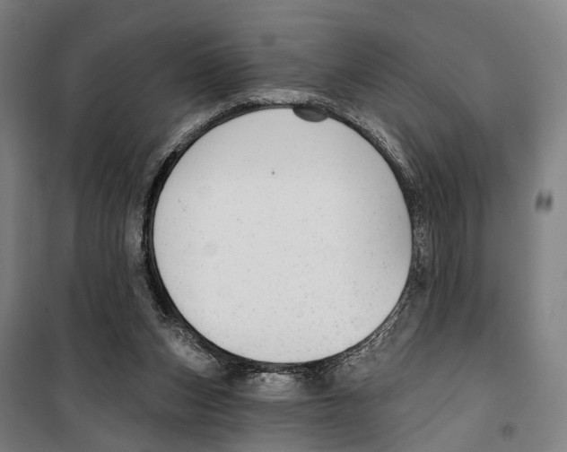 X0000099520159200806121510