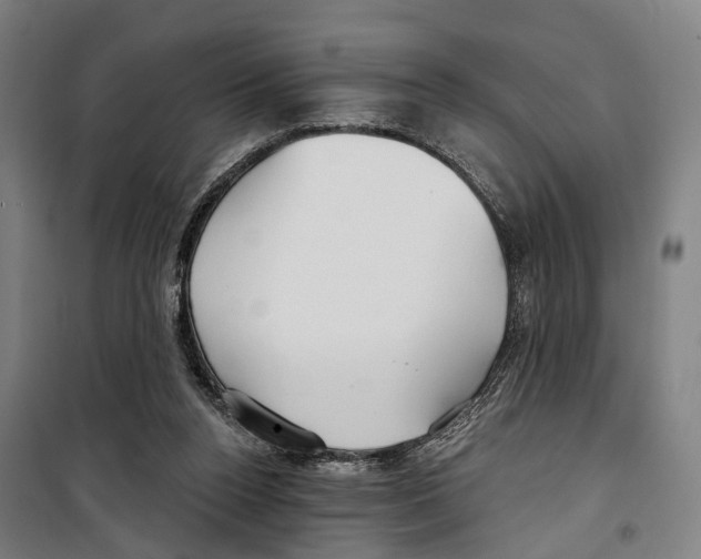 X0000099520160200806121510