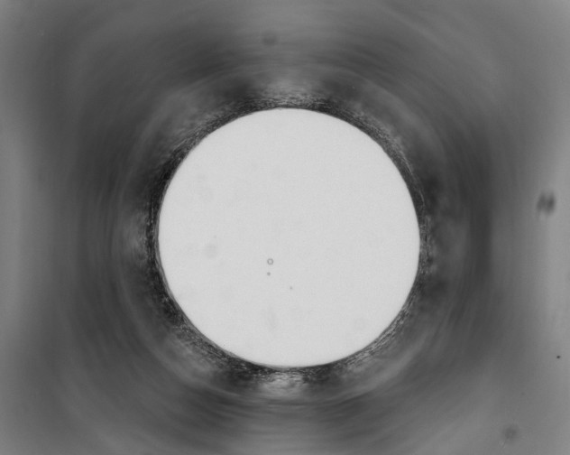 X0000099520162200806121510