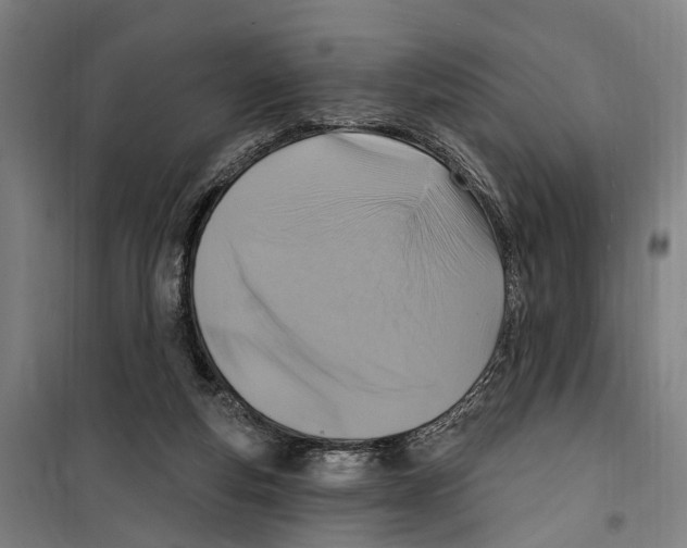 X0000099520163200806121510