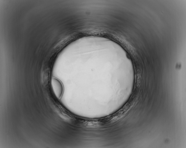 X0000099520165200806121510