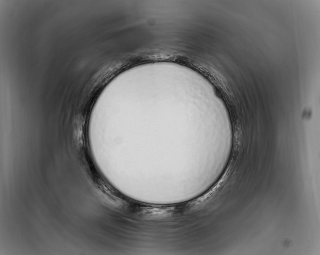 X0000099520166200806121510