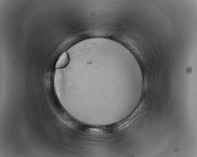 X0000099520167200806121510