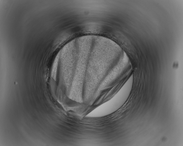 X0000099520168200806121510