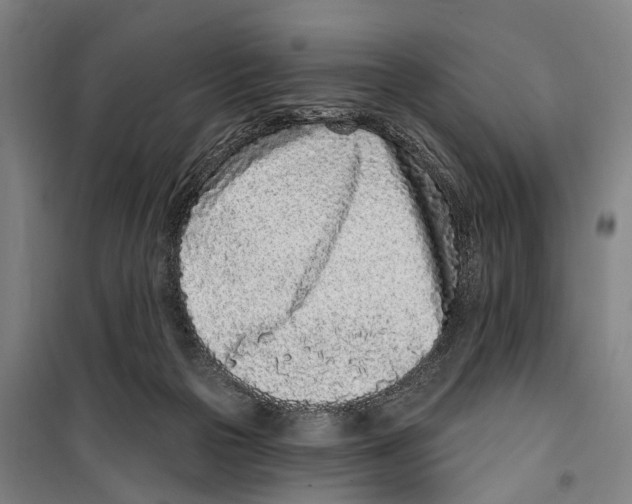 X0000099520169200806121510