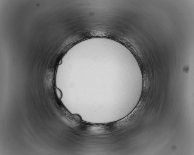 X0000099520171200806121510