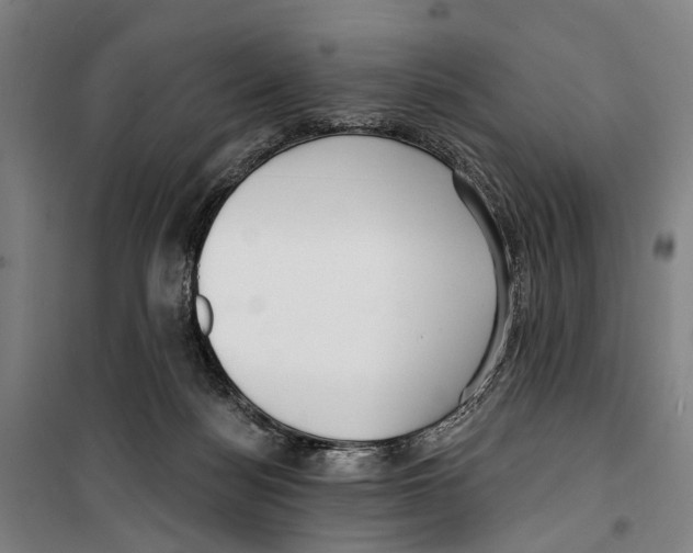 X0000099520172200806121510