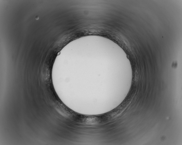 X0000099520173200806121510