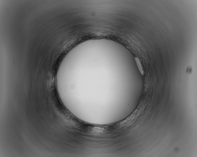 X0000099520176200806121510