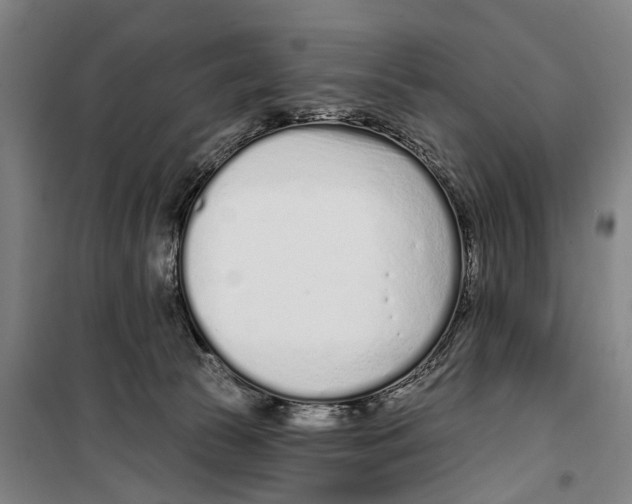 X0000099520177200806121510