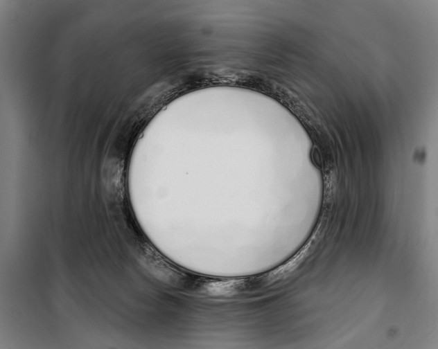 X0000099520178200806121510